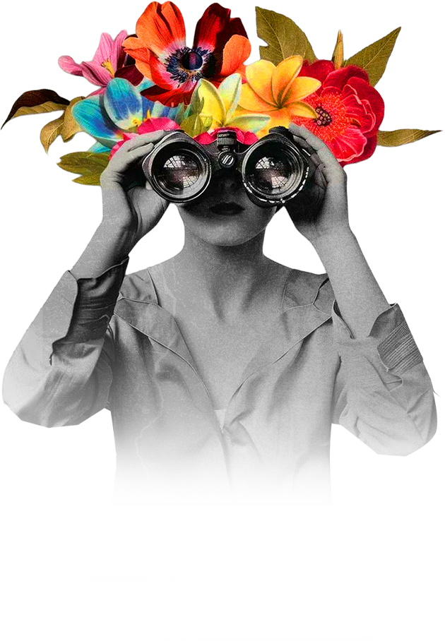 360 Degree Solutions