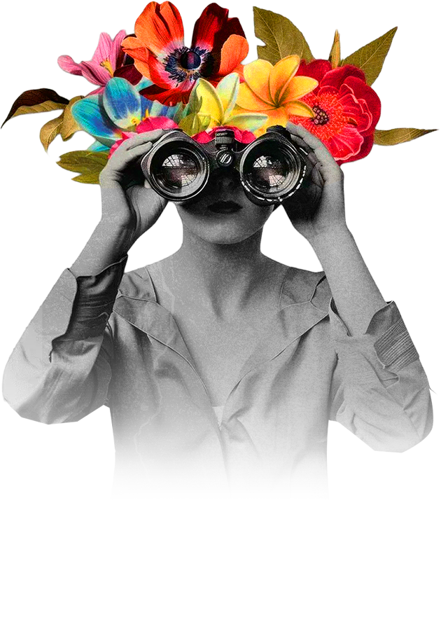 360 Degree Solutions